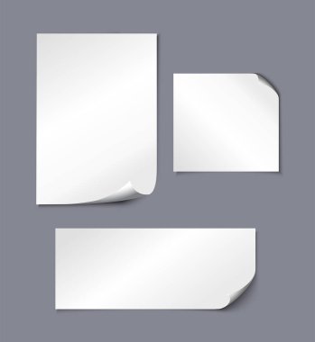 3D gerçekçi vektör çizimi. Gri arkaplan üzerine kıvrılmış kağıt.