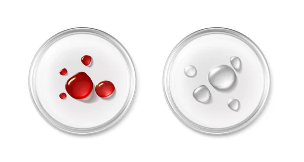 Realistic Vector Icon Petri Dish Drop Blood Cosmetic Product Laboratory — Stock Vector