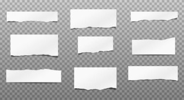 Gerçekçi vektör farklı kesiklerle şeffaf arkaplanda kağıt parçaları yırttı. Bilgi anımsatıcı