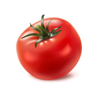 gerçekçi vektör simgesi. Yeşil saplı kırmızı sulu domates..