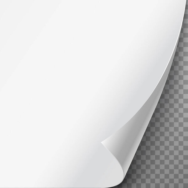 realistic vector illustration. Curled paper corner.