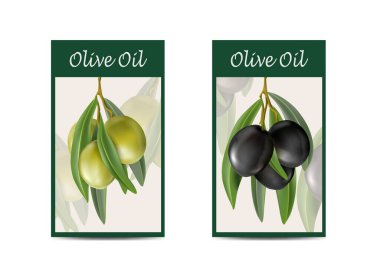 Gerçekçi vektör simgesi ayarlandı. Dal üzerinde taze yeşil ve siyah zeytin, ürün etiketi şablonları.