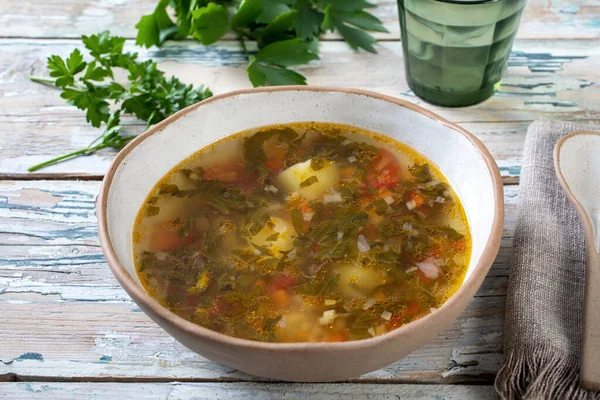 Soup Vegetables Herbs — Stock Photo, Image