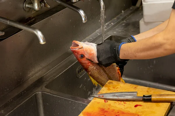 Japanese Chef Processes Fish Prepare Sashimi — Stockfoto
