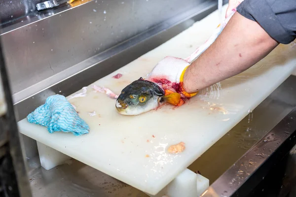 Japanese Chef Processes Fish Prepare Sashimi — Foto de Stock