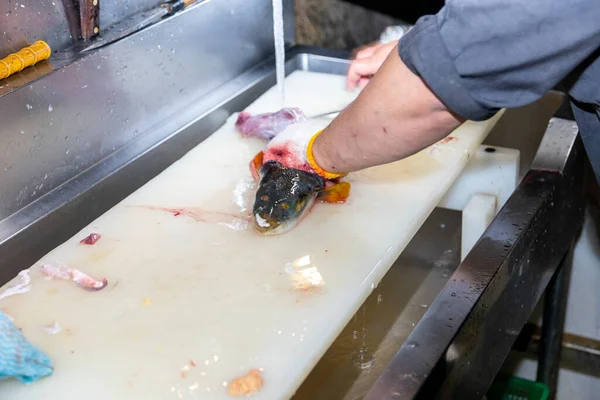 一名日本厨师加工鱼 准备生鱼片 — 图库照片