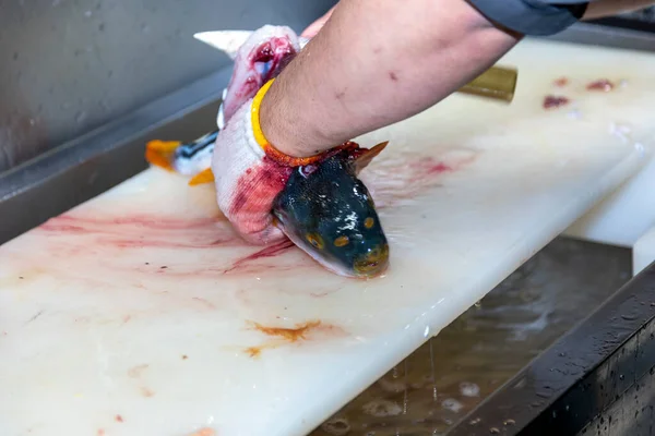 Japanese Chef Processes Fish Prepare Sashimi — Zdjęcie stockowe