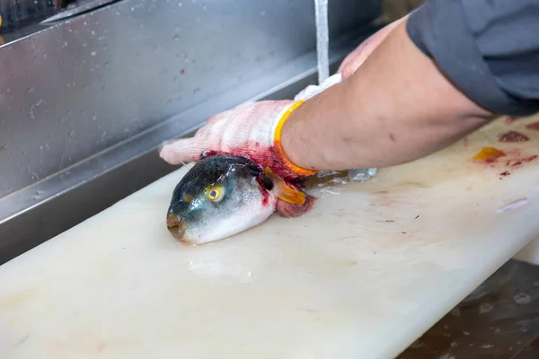Japanese Chef Processes Fish Prepare Sashimi — Stock fotografie
