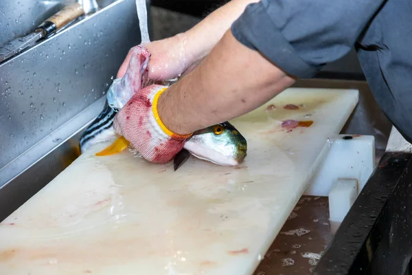 Japanese Chef Processes Fish Prepare Sashimi — Foto Stock