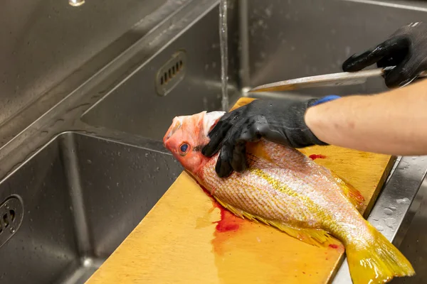 Japanese Chef Processes Fish Prepare Sashimi — Foto de Stock