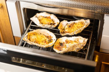 Fresh oysters that can be eaten raw cooked in gratin