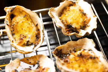 Fresh oysters that can be eaten raw cooked in gratin