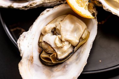 Very fresh raw oysters and white wine