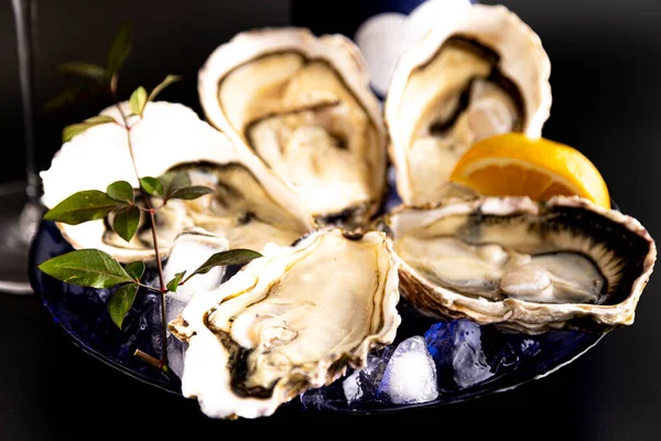 How Eat Oysters Japanese Style — Stock Photo, Image