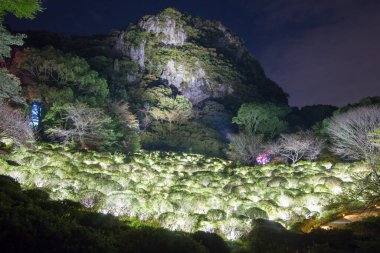 Beautiful view of Mt. Mifuneyama Decorated with illumination