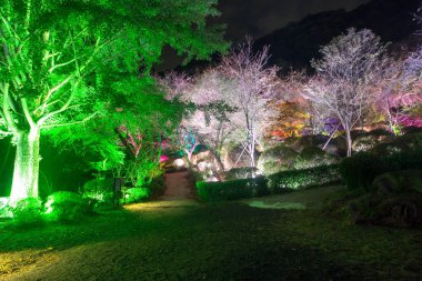 Beautiful view of Mt. Mifuneyama Decorated with illumination