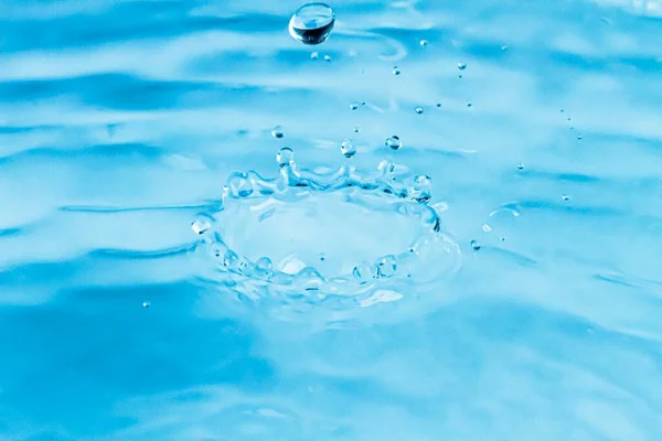 Droplets of water fall on the surface of the water and make a crown of water.