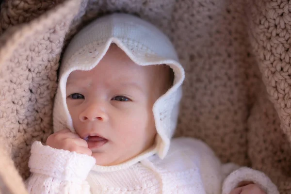 Bonito Retrato Adorável Misto Etnia Asiática Caucasiano Bebê Menina Algumas — Fotografia de Stock