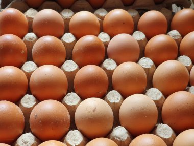 Çiftlikten taze toplanmış tavuk yumurtası, kartondan yumurta stoku.