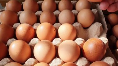 Çiftlikten taze toplanmış tavuk yumurtası, kartondan yumurta stoku.