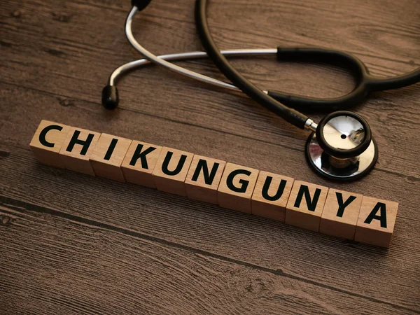 Chikungunya Text Ord Typografi Skriven Med Träbrev Hälsa Och Medicinska — Stockfoto