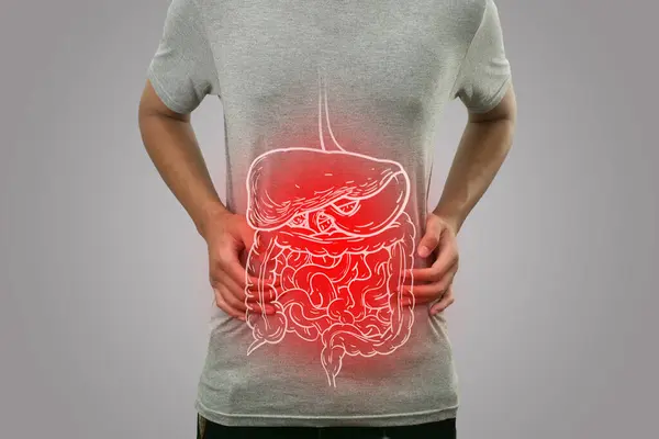 Composición Digital Del Sistema Digestivo Interno Con Inflamación Roja Destacada — Foto de Stock