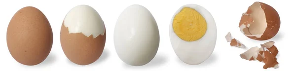 Set Collection Egg Various Condition Whole Hard Boiled Slice Half — Stock Photo, Image