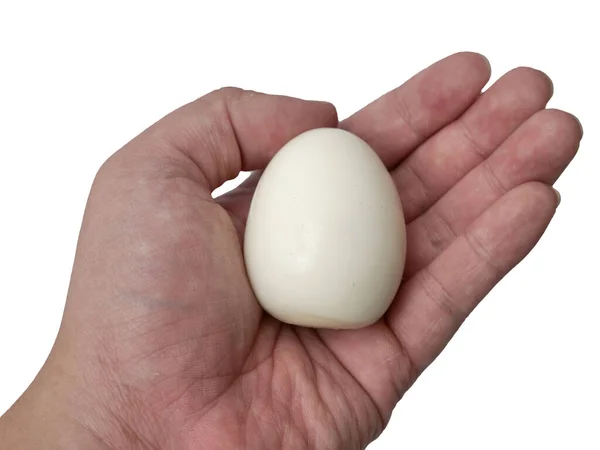 Single Hard Boiled Peeled Chicken Egg Person Hand — Stock Photo, Image
