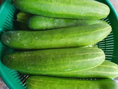 Taze yeşil salatalık sepette, sebzeler geleneksel pazarda.