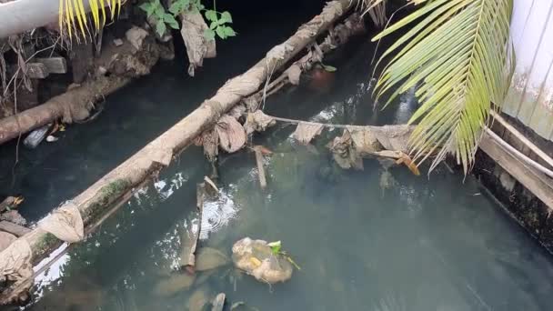 Égout Canal Pollué Sale Plein Sac Plastique Problème Environnemental Dans — Video