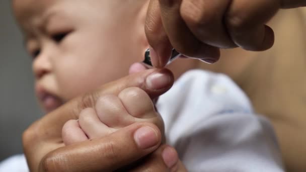 Mãe Corta Unha Seu Bebê Com Cortador Tratamento Unhas Infantis — Vídeo de Stock