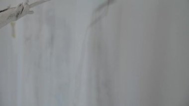 Ressam el ele tutuşup tekerlekli fırça boyayarak yeni bir beyaz duvar boyayarak, iç döşeme yenileme konsepti oluşturdu.