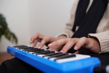 Piyanik çalan isimsiz kadın, melodi org çalma müzik enstrümanı