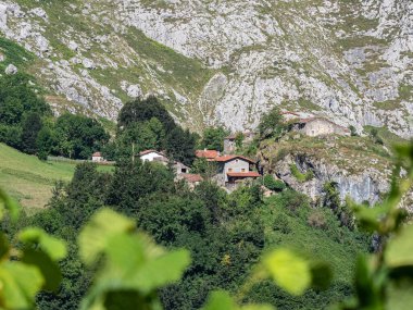 Bitkileri olan küçük bir dağ kasabası.