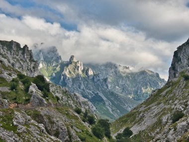 Picos Europa 'daki bulutlu kireçtaşı tepeleri - Picos de Europa' nın üzerinde uçan tek bir kuş ile kısmen alçak asılı bulutlar ve sisle kısmen gizlenmiş sivri kireçtaşı dağlarının görkemli ve dramatik manzarası.