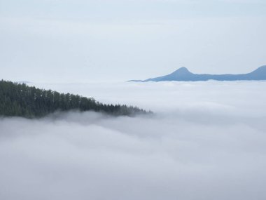 Dağ ormanlarının üzerindeki bulutlar okyanusu - Çam ormanları adası ile güzel puslu bir manzara, parlak bir gökyüzünün altındaki uzak dağ zirveleri ile kalın bir sis tabakasından yükseliyor..