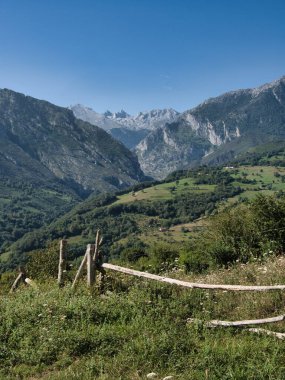 Dağ Vadisi Manzarası (Rustic Wooden Fence) Bereketli yeşil bir dağ vadisinde, berrak mavi gökyüzünün altında, kırsal çitleri ve pürüzlü tepeleri olan çarpıcı bir manzara..