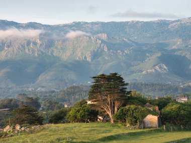 Cypress Tree ve Cottage ile Dağ Manzarası - Picos de Europa dağlarının manzarası, büyük bir selvi ağacı ve günbatımında veya gün doğumunda yeşil bir çayırda harap olmuş bir kır evi.