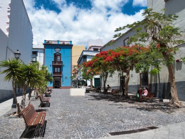 Old Town 'daki Parlak Renkli Plaza - Sessiz kaldırım taşı meydanı, çarpıcı mavi bir bina, banklar ve gösterişli ağaçlarla geleneksel bir İspanyol kasabasında.