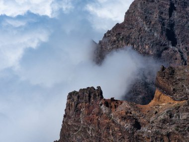 Dwarf Echium Bloom Bulut Denizi 'nin üstünde - Kuru, yükselen Echium kırmızı volkanik kayalar üzerinde yükselir yoğun bir bulut denizi üzerinde La Palma dağının zirvesinde.