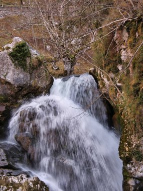 Rocky Mountain Grotto 'daki ipeksi şelale - yosunlu kayaların üzerinden akan küçük bir şelale, tenha doğal ortamda pürüzsüz ve uzun süre maruz kalma etkisi.