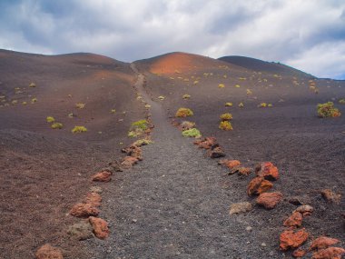 Kırmızı volkanik kayalarla kaplı bir yürüyüş yolu Ruta de los Volcanes 'de bulutlu bir gökyüzünün altında seyrek bitki örtüsü ile dramatik bir kül yamacına yükselir..