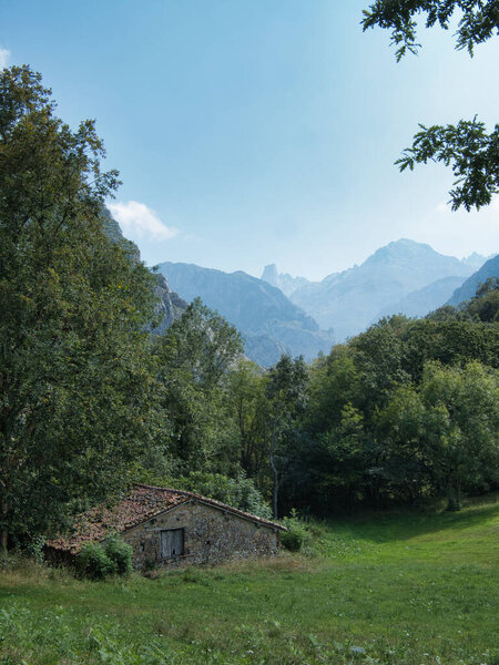 Уединенная каменная хижина в прочной горной долине - старая каменная хижина, расположенная в пышной зеленой ванне с впечатляющими, туманными горными персиками (как Наранхо-де-Булнес) в далеком Пикос-де-Европа.