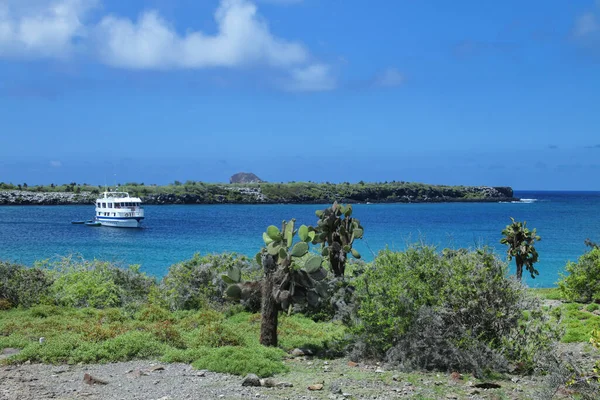 Kustlinjen South Plaza Island Med North Plaza Island Fjärran Galapagos Stockfoto