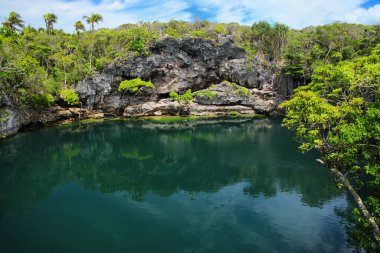 Ouvea Island, sadakat Adaları, Yeni Kaledonya kuzeyinde kaplumbağalar delik. Bu delik undeground denize bağlı.