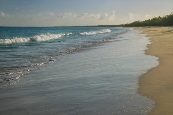 Пляж Файауе Узбережжі Лагуни Усте Острови Мулі Уесте Острови Лояльності Ліцензійні Стокові Фото