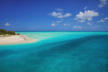 Sandy beach at the tip of Mouli Island in Ouvea lagoon, Loyalty Islands, New Caledonia. The lagoon was listed as Unesco World Heritage site in 2008. clipart