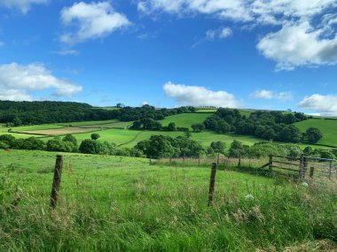 İngiliz kırsalındaki güzel kırsal alan, tarlalar ve bahçeler.