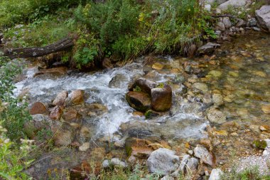 Temiz suyu olan bir dağ deresinde büyük bir taş.
