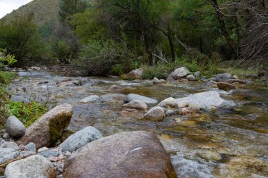 Tien Shan dağlarındaki vadide berrak suyla kaynayan dağ deresi